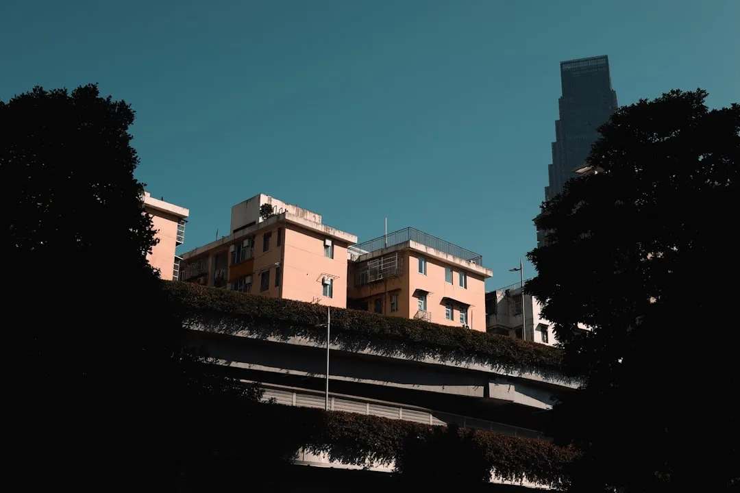 社区超市商品陈列优化方案与顾客动线设计研究